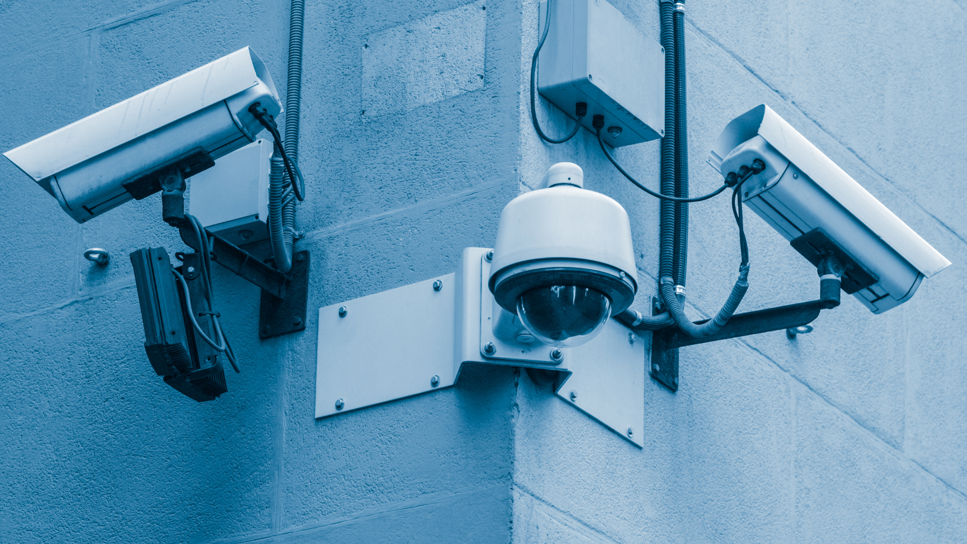 Beste IP Camera buiten in 2026: Complete koopgids voor thuis en bedrijf 